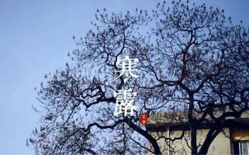 1602150645535904.png 微信图片_20201008174912.png